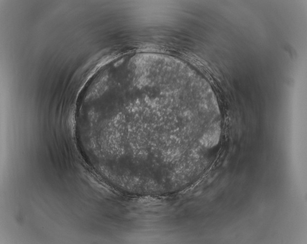 X0000112110290200908251217