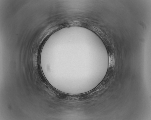 X0000112110291200908251217