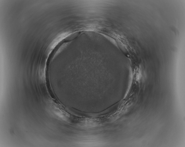 X0000112110292200908251217