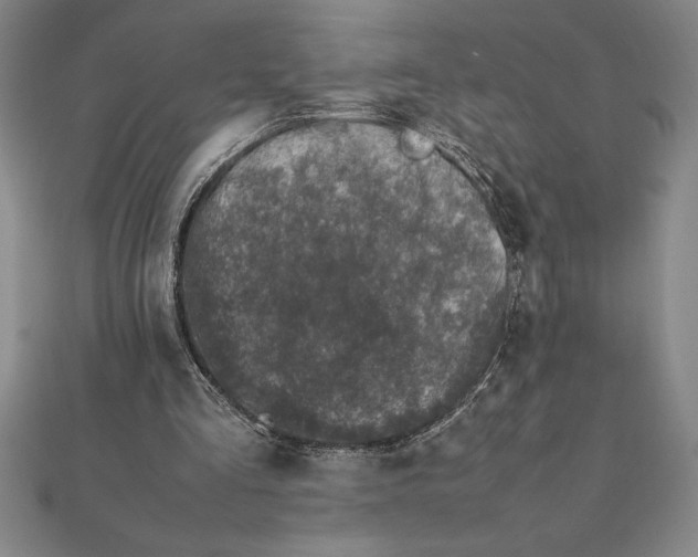 X0000112110293200908251217