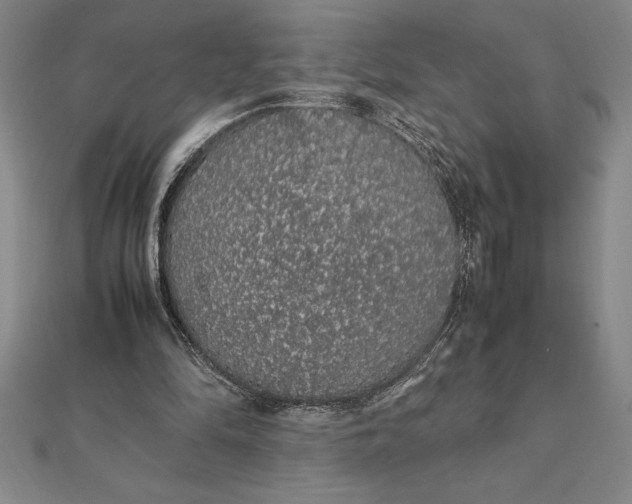 X0000112110294200908251217