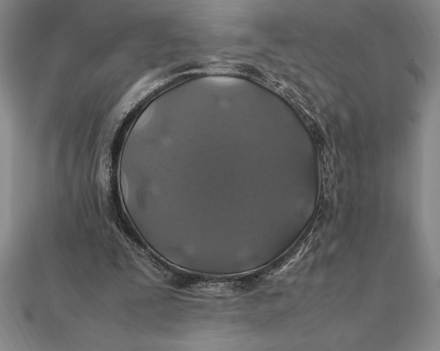 X0000112110295200908251217