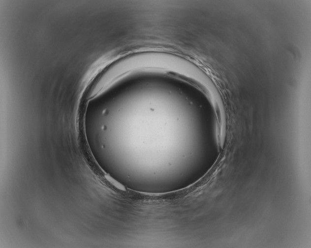 X0000112110296200908251217