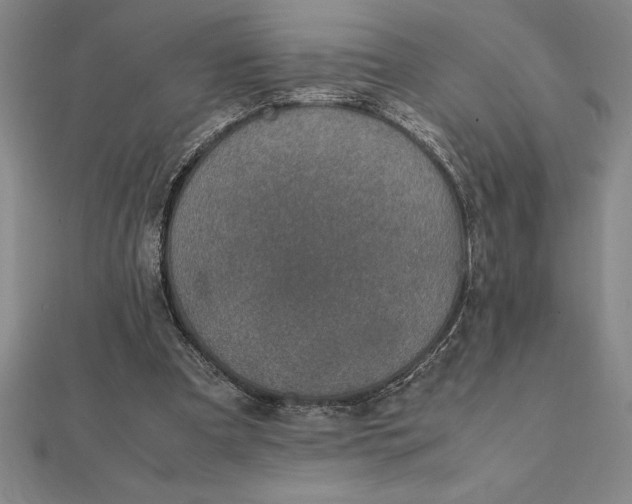 X0000112110297200908251217