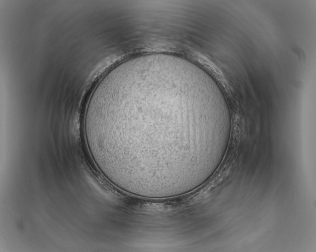 X0000112110298200908251217