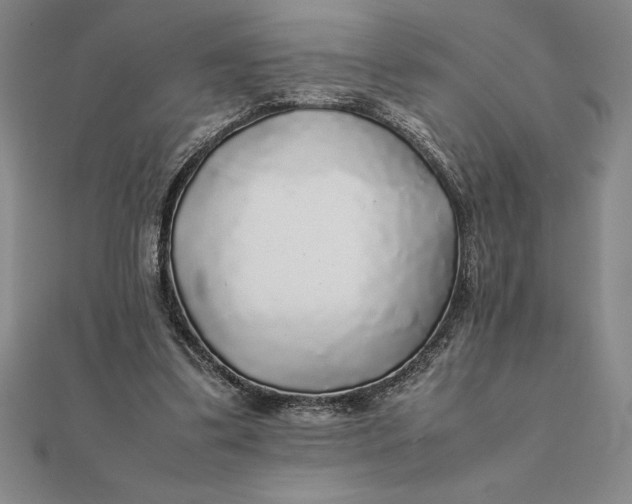 X0000112110299200908251217