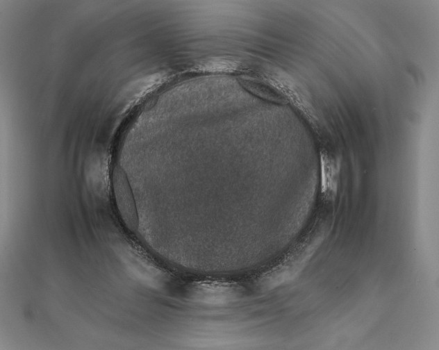 X0000112110300200908251217