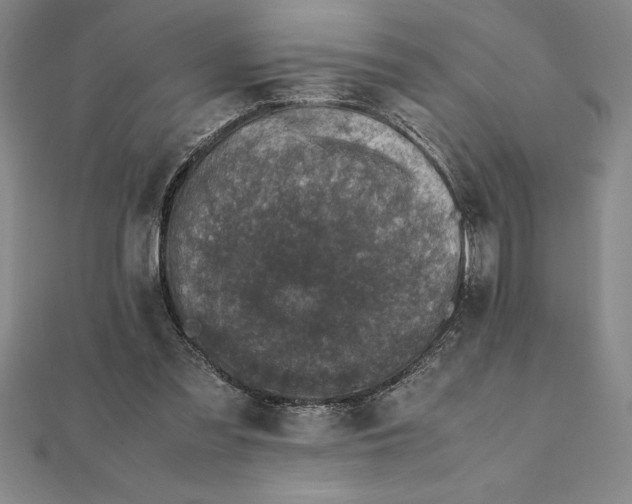 X0000112110301200908251217