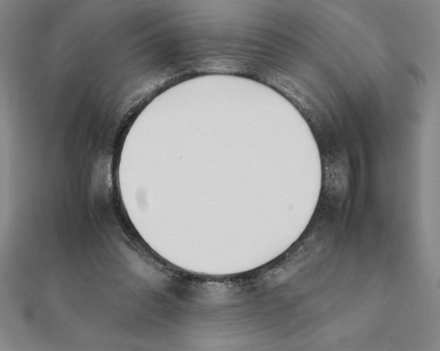 X0000112110302200908251217