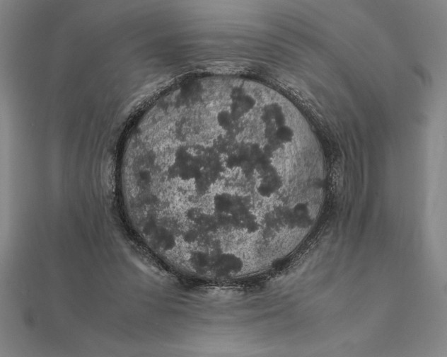 X0000112110303200908251217