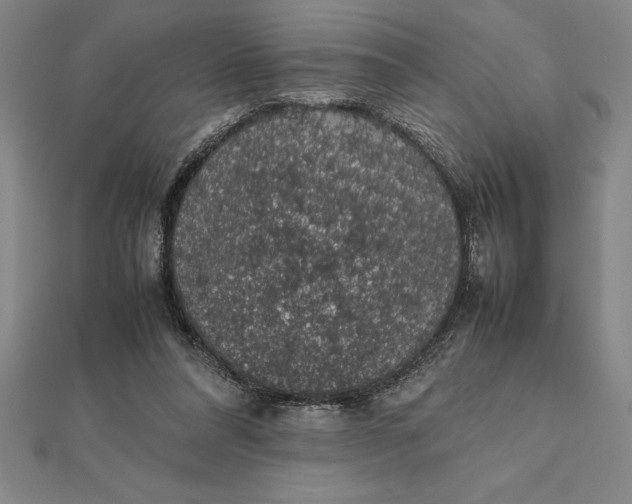 X0000112110304200908251217