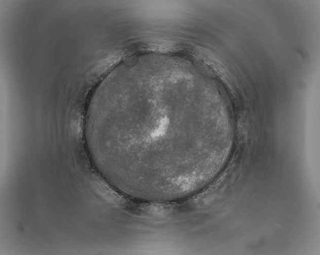 X0000112110305200908251217