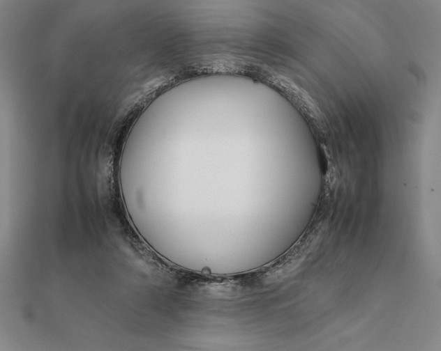 X0000112110306200908251217