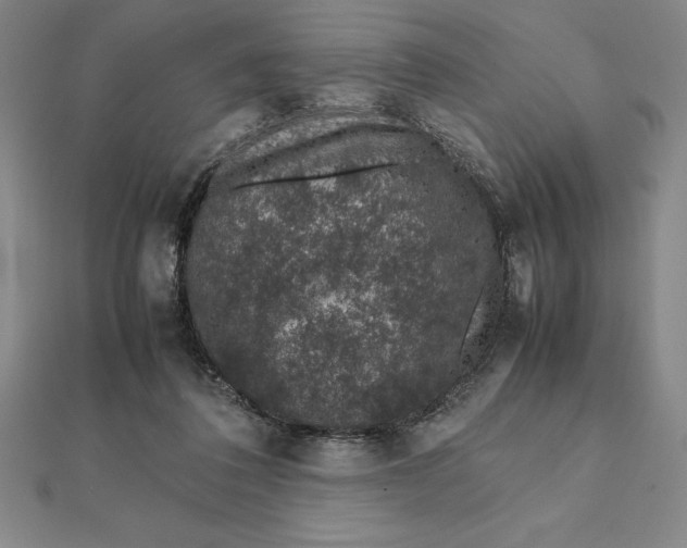 X0000112110308200908251217