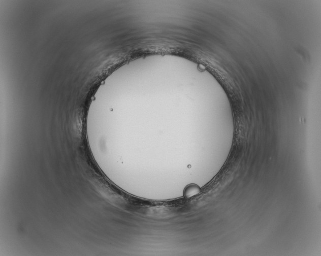 X0000112110309200908251217