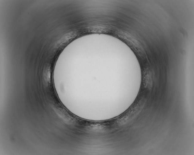 X0000112110310200908251217