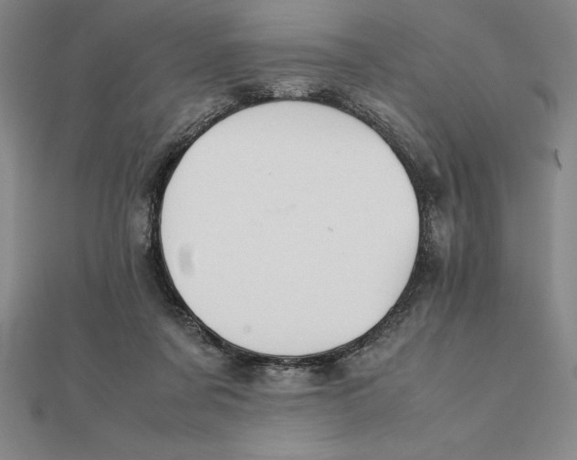 X0000112110311200908251217