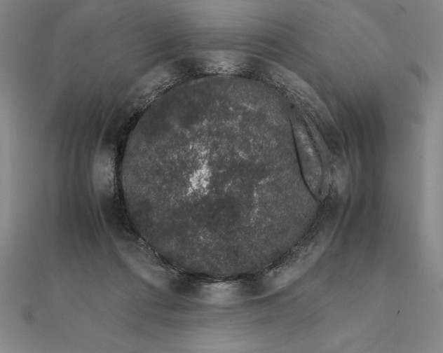 X0000112110312200908251217