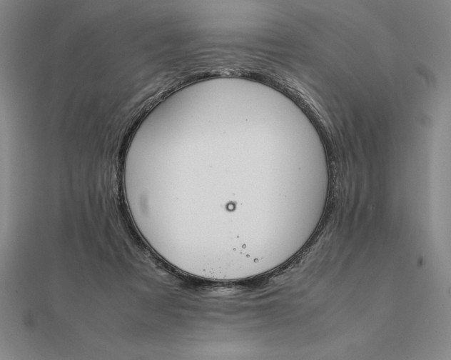 X0000112110313200908251217