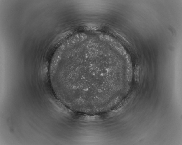 X0000112110314200908251217