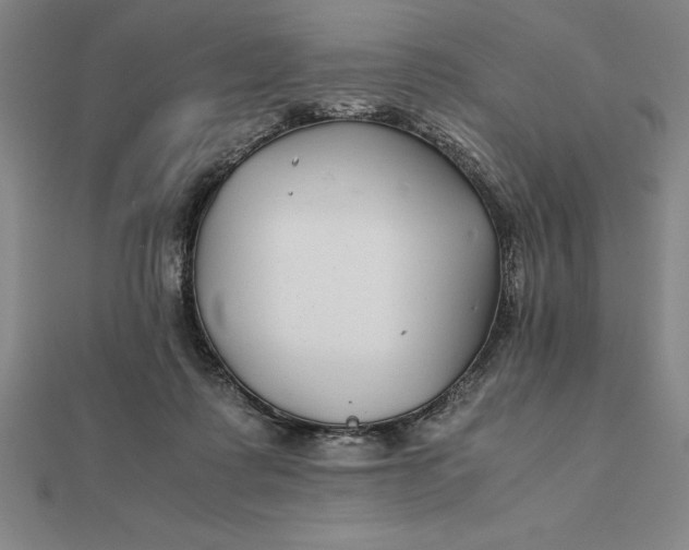 X0000112110315200908251217