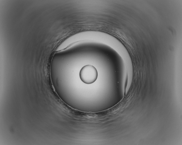 X0000112110317200908251217