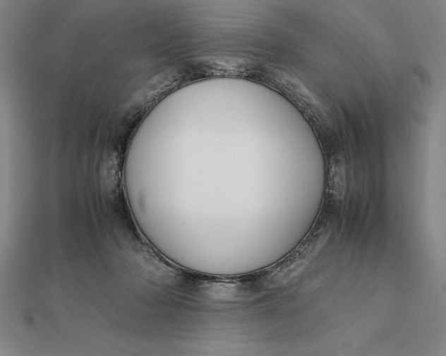 X0000112110318200908251217