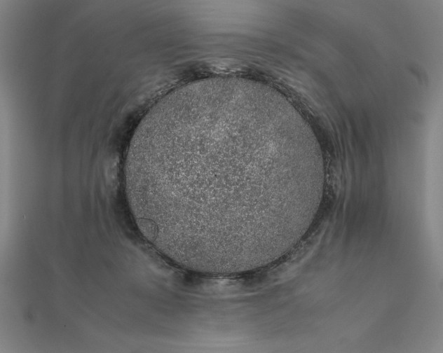 X0000112110319200908251217