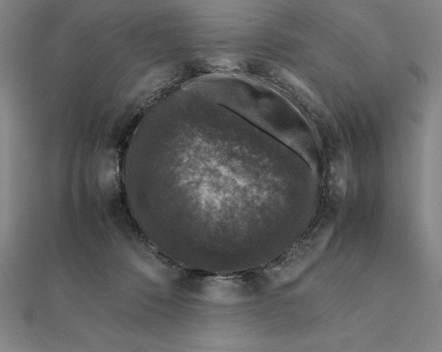 X0000112110320200908251217