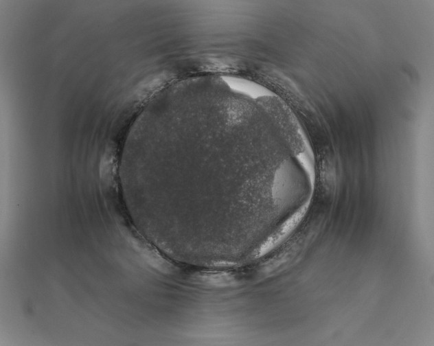 X0000112110322200908251217