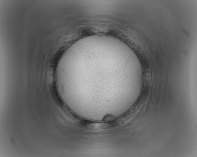 X0000112110323200908251217