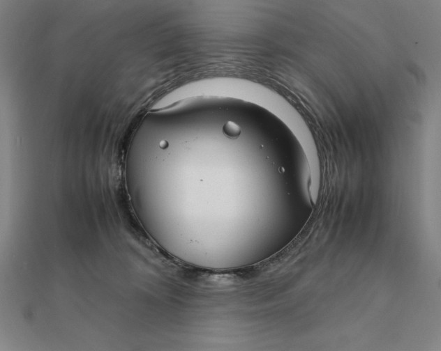 X0000112110324200908251217