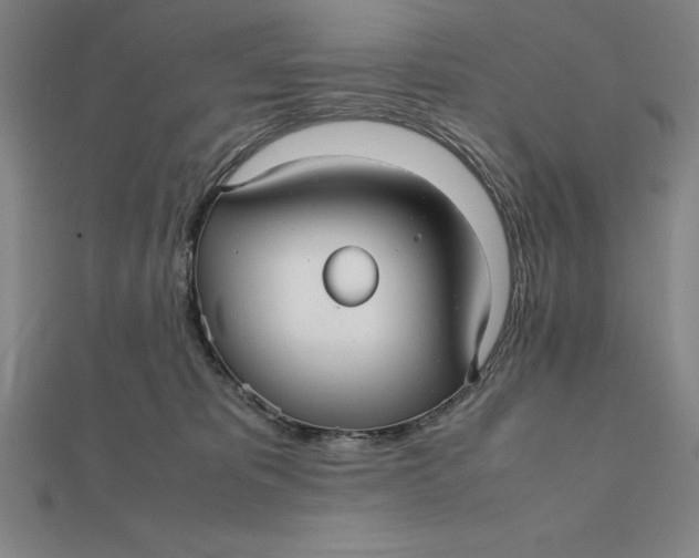 X0000112110325200908251217