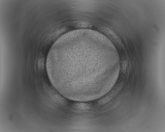 X0000112110326200908251217