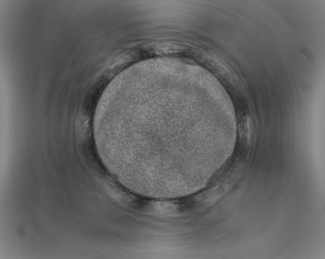 X0000112110327200908251217