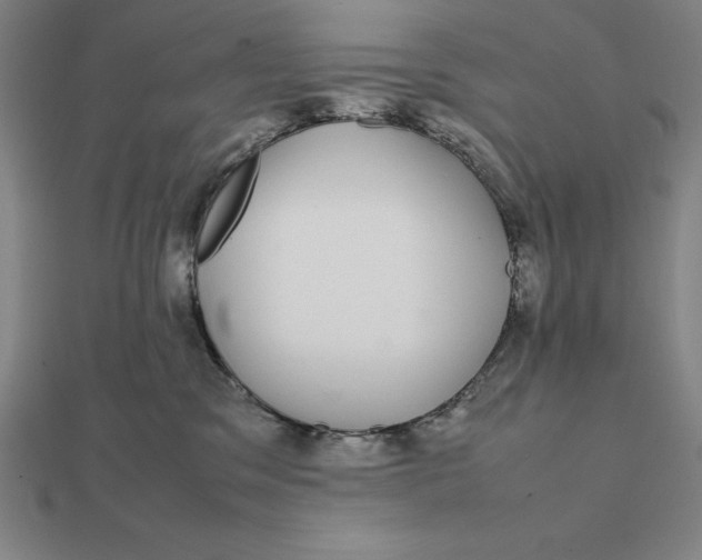 X0000112110329200908251217