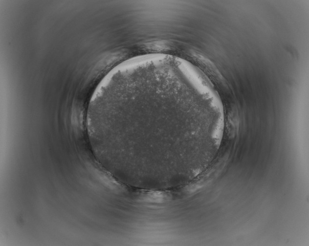 X0000112110330200908251217