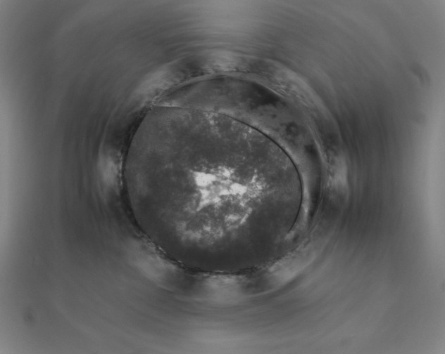 X0000112110332200908251217