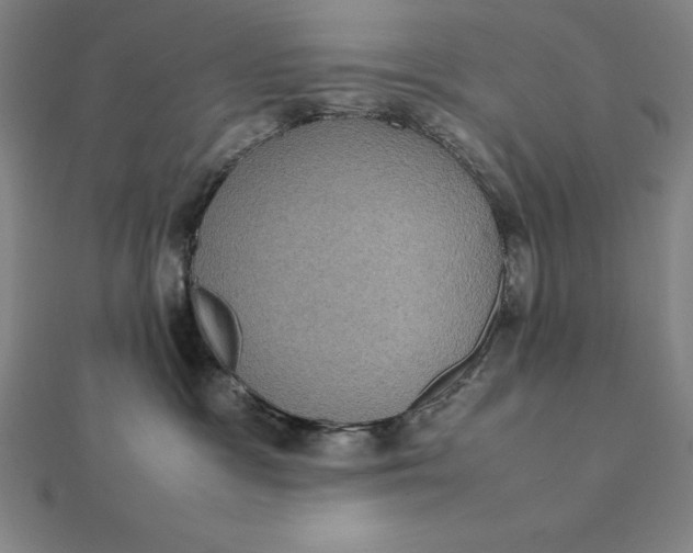 X0000112110333200908251217