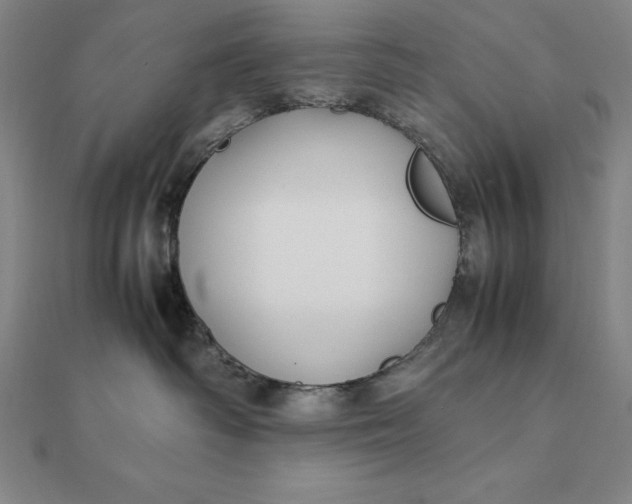 X0000112110334200908251217