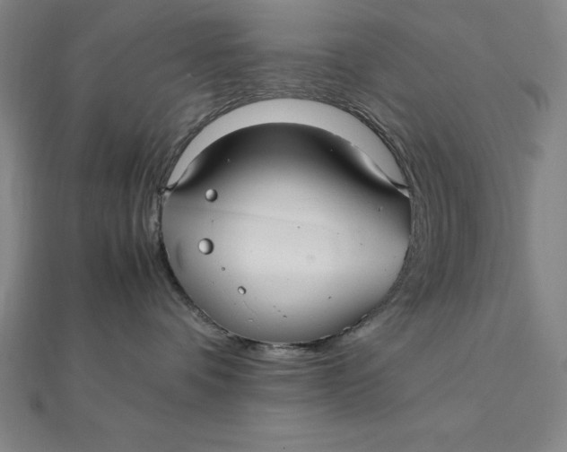 X0000112110336200908251217