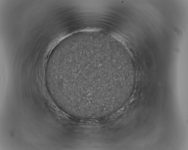 X0000112110337200908251216