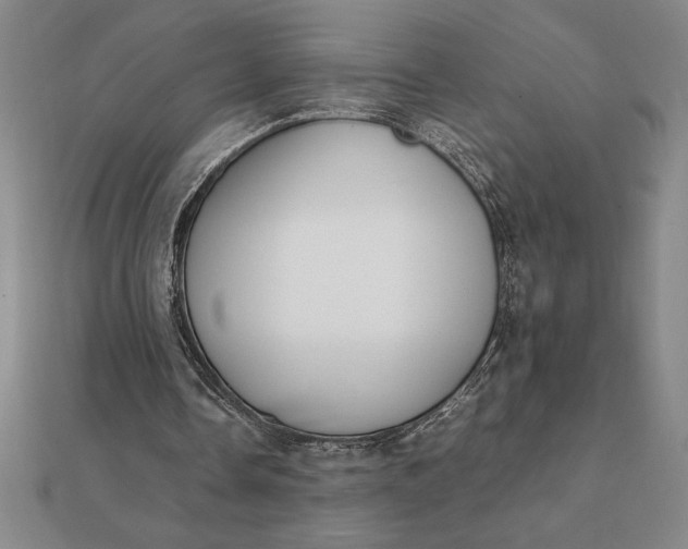 X0000112110338200908251216