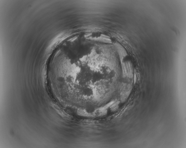 X0000112110339200908251216