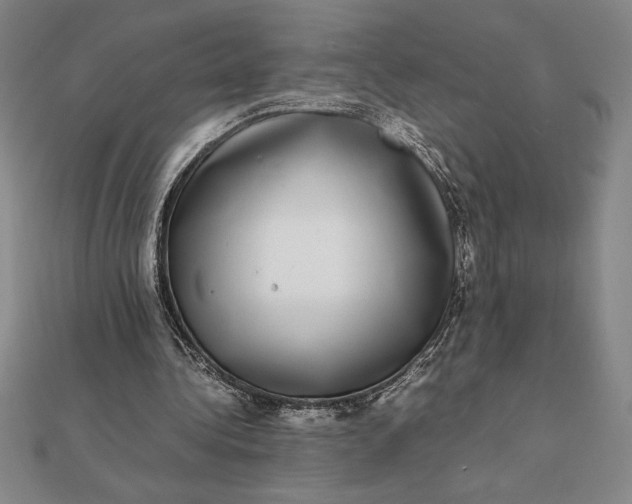 X0000112110340200908251216