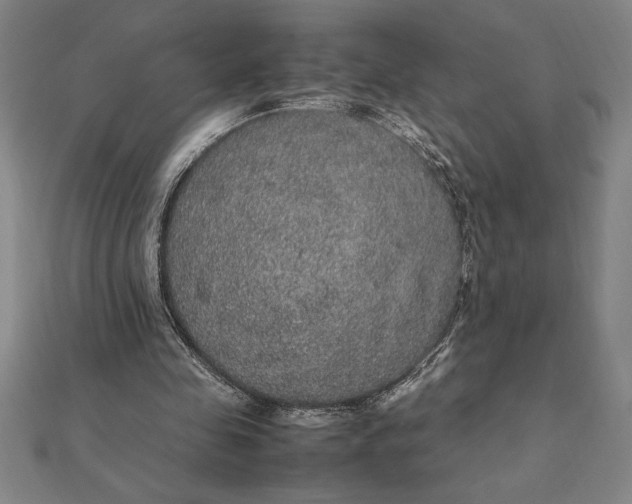 X0000112110341200908251216