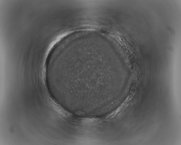 X0000112110342200908251216