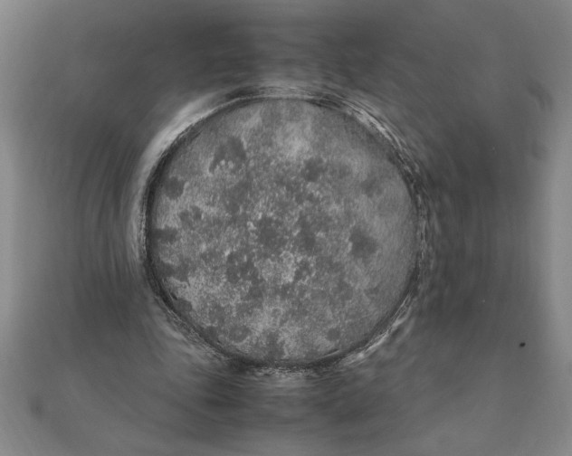 X0000112110343200908251216