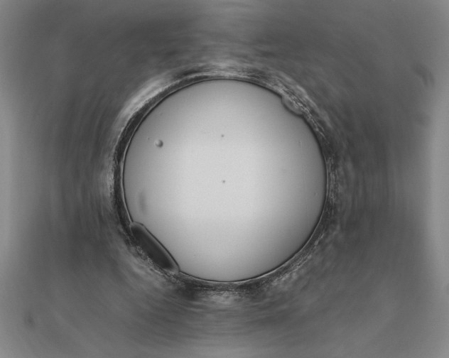 X0000112110344200908251216