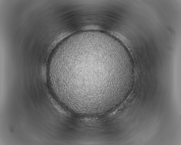 X0000112110345200908251216